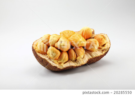 cempedak cempedak 20285550