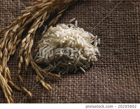 Rice varieties Rice varieties 20285602