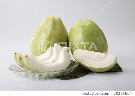 guava 20285664