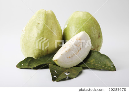 guava 20285678