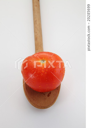 tomato tomato 20285699