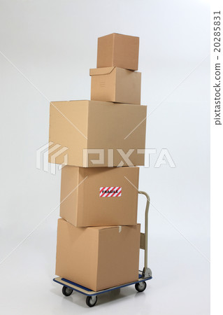20285831
