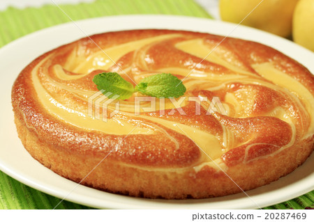 Sweet cheese sponge cake 20287469