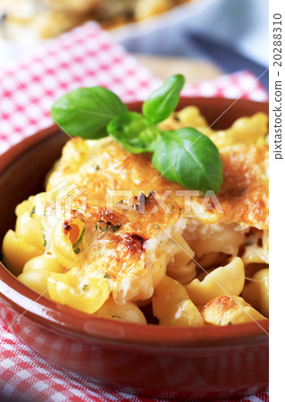 Pasta au gratin Pasta au gratin 20288310