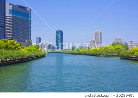 綠色和城市和河流 綠色和城市和河流 20289495