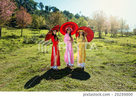Portrait of vietnam 20289800