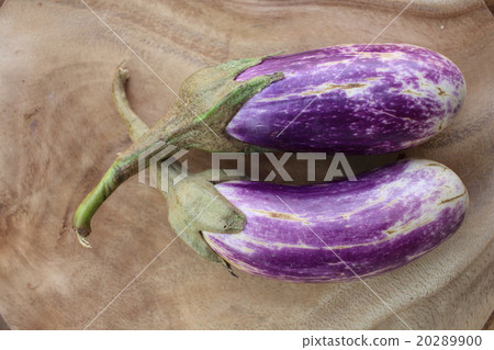 Purple eggplants 20289900