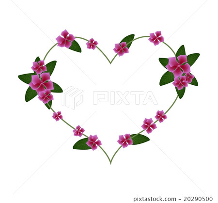 Pink Cape Periwinkle Flowers in A Heart Shape 20290500