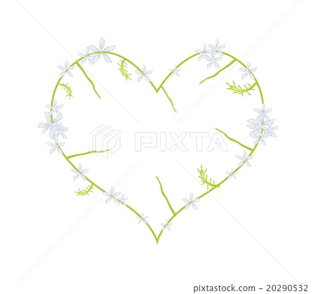 White Plumbago Indica Flowers in A Heart Shape White Plumbago Indica Flowers in A Heart Shape 20290532