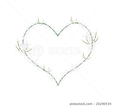 White Ixora Flowers in Heart Shape Frame White Ixora Flowers in Heart Shape Frame 20290534