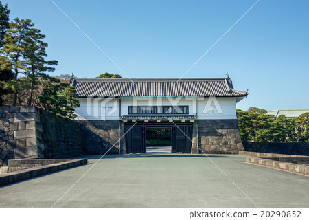 Edoguchi Sakashita 20290852