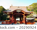 鎌倉鶴岡八幡宮的舞蹈 20290924