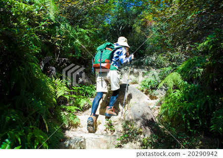 攀登婦女的背面圖 20290942