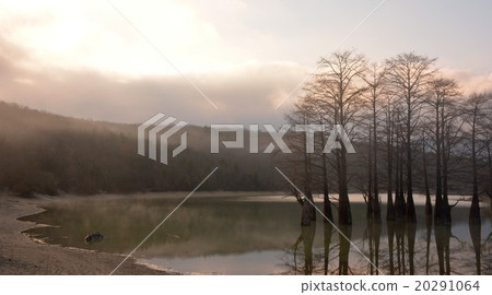 Lake Sukko and cypress trees Lake Sukko and cypress trees 20291064