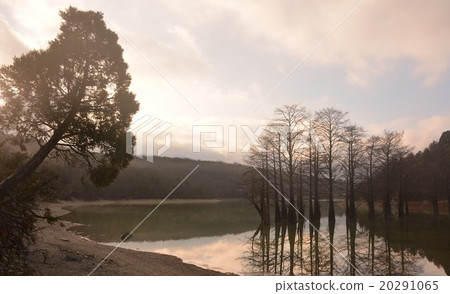 Lake Sukko and cypress trees 20291065