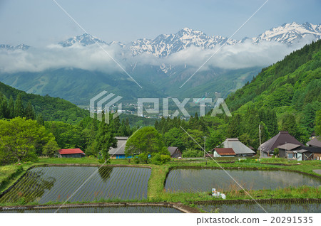 Northern Alps of Spring Rice Terraces and Remaining Snow 20291535