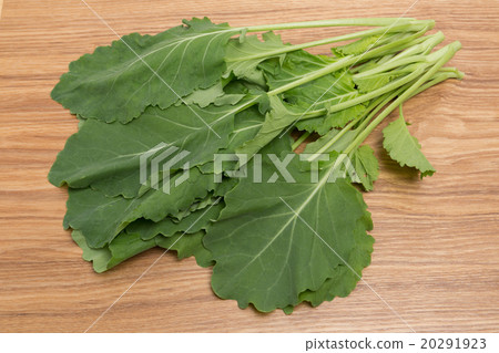 Kale 20291923
