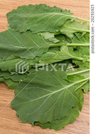 羽衣甘藍 羽衣甘藍 20291925