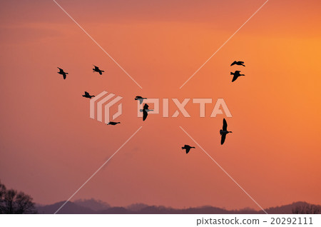 Sunset and Magan 20292111