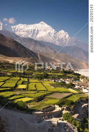 The village of Kagbeni, Upper Mustang, Nepal 20293143
