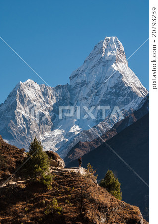 The stunning pyramid of Ama Dablam The stunning pyramid of Ama Dablam 20293239
