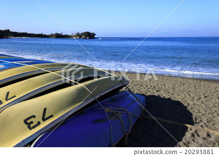 冬天陽光燦爛的日子 冬天陽光燦爛的日子 20293881