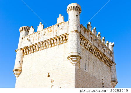 Castle of Belmonte de Campos, Castile and Leon 20293949