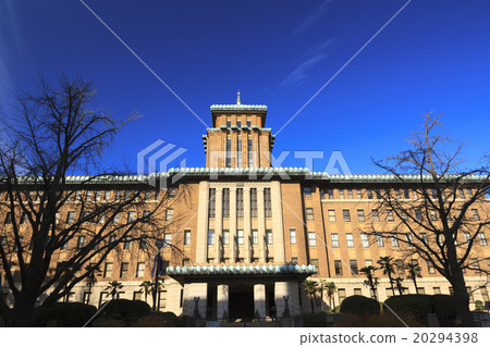 Winter fine in Nippon Odori Winter fine in Nippon Odori 20294398