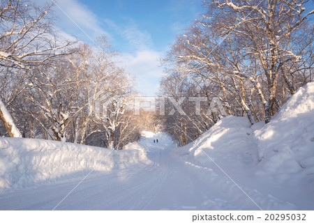 Winter Landscape in countryside 20295032