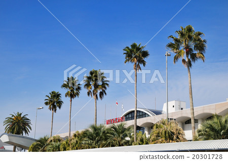 宮崎機場 20301728