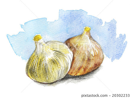 illustration, vegetables, vegetable 20302233