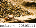 Site gravel 20303111