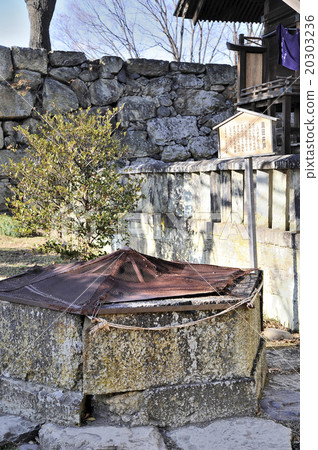 真田很好 20303236