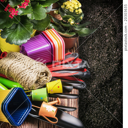 Gardening tools on the ground Gardening tools on the ground 20303635