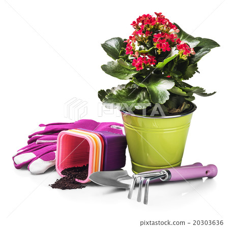 garden tools with flowers isolated on white garden tools with flowers isolated on white 20303636
