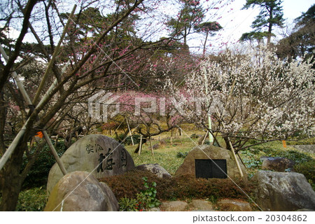 Atami plaza 20304862