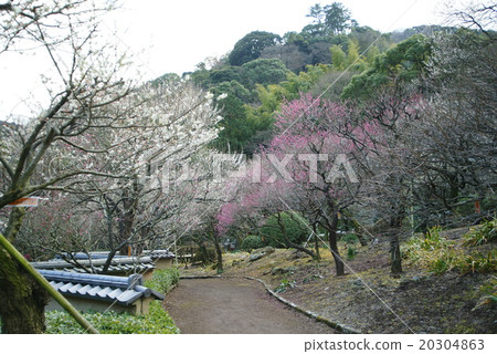 熱海廣場 熱海廣場 20304863