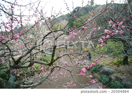 Atami plaza 20304864