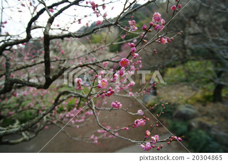 熱海廣場 熱海廣場 20304865