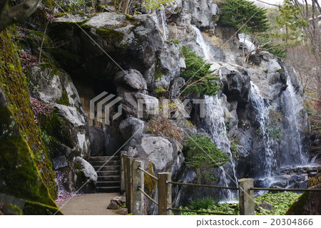 Waterfall of Atami plum garden plum watching 20304866