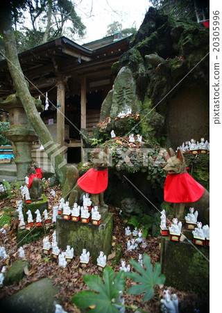 鎌倉佐助稻荷神社和狐狸衛士 鎌倉佐助稻荷神社和狐狸衛士 20305996