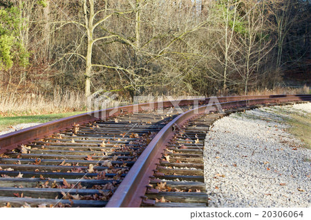The rail road in the forest The rail road in the forest 20306064