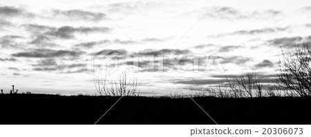 Black and white photo of the sunset Black and white photo of the sunset 20306073