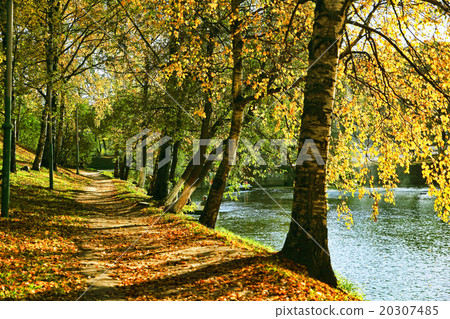 Walkway in autumn park near lake. Walkway in autumn park near lake. 20307485