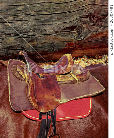 Brown horse ridding saddle on log wall background. Brown horse ridding saddle on log wall background. 20307491