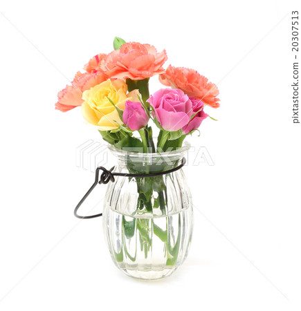 Carnation and Roses 20307513