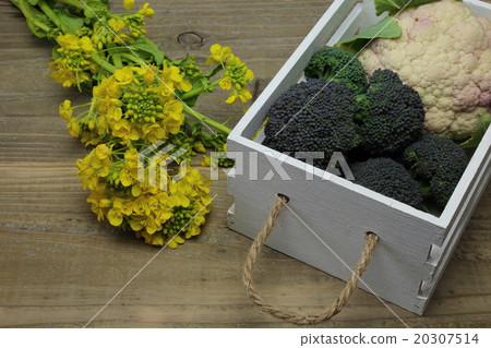 Broccoli and cauliflower 20307514
