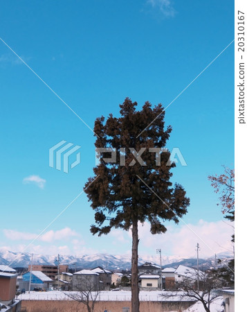 Monobatsu和冬季場景 Monobatsu和冬季場景 20310167