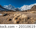Trekking in Annapurna region, Nepal 20310619