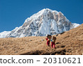 Trekking in Annapurna region, Nepal 20310621